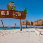 Gallery Thumbnail 1