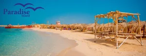 Paradise Island tours private speed boat