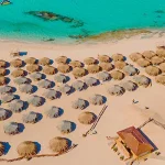 Gallery Thumbnail 2
