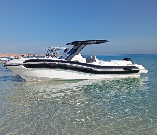 serenity speedboat