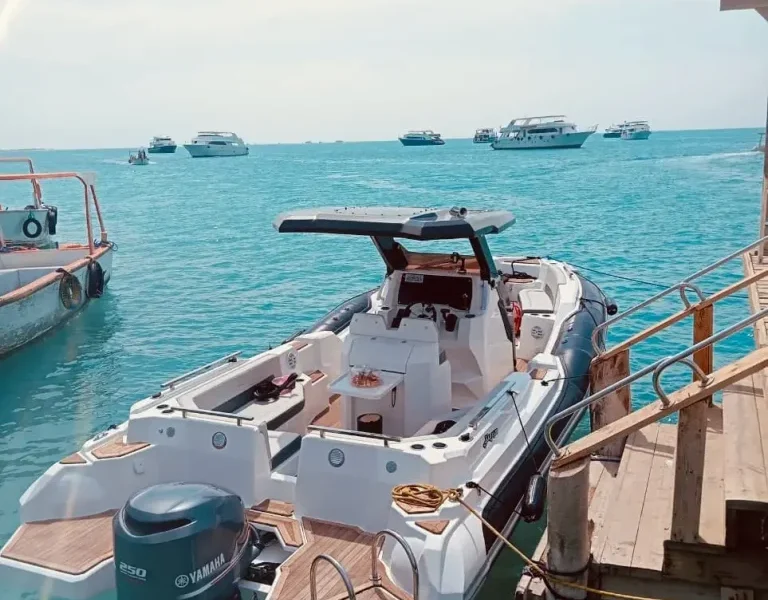 Speedboat Safety