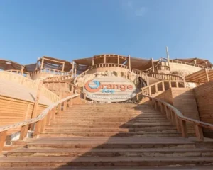 Orange Bay and White Island Private Speedboat Tour