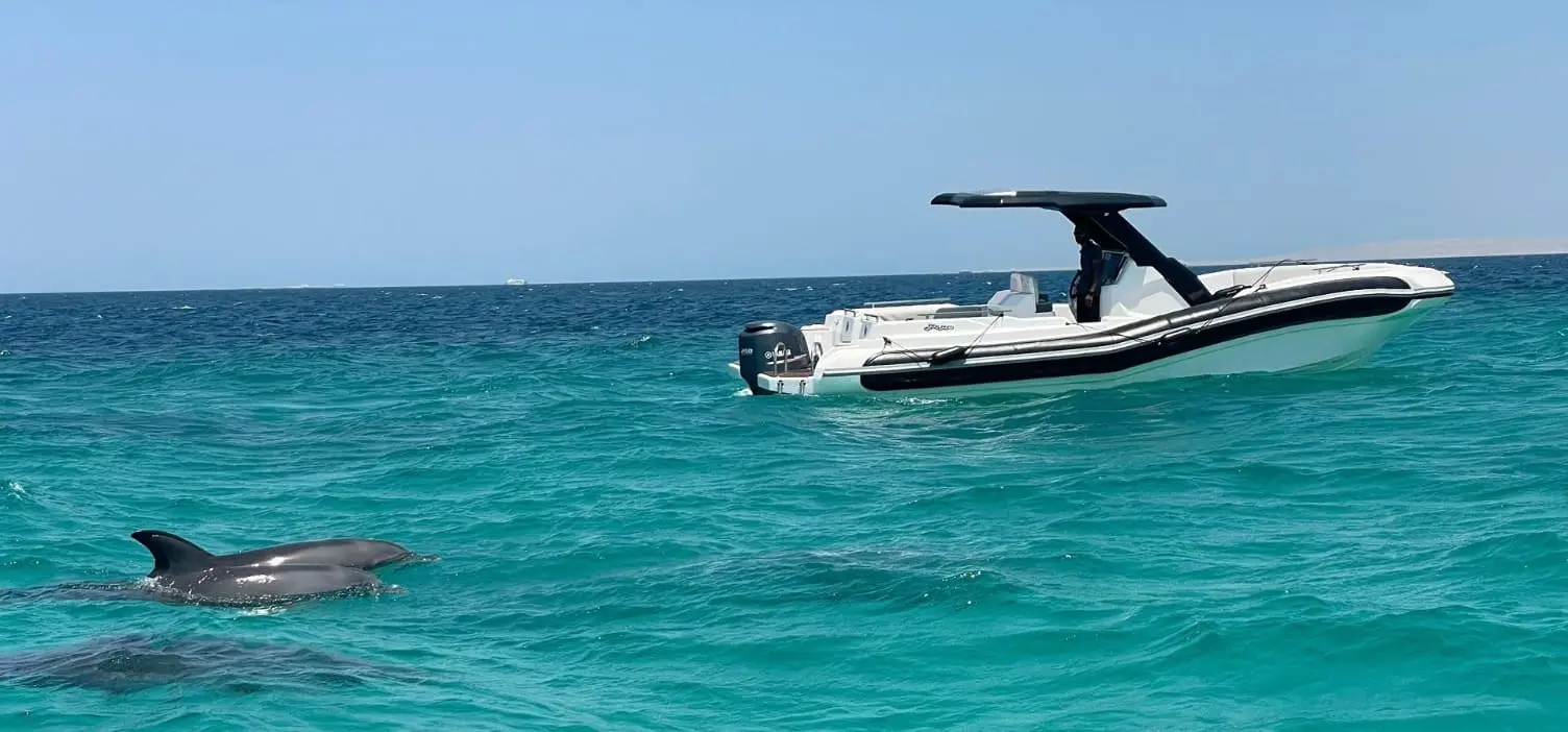 speed boat hurghada