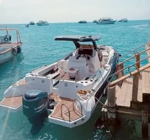 Private High Speed boat Sea Adventure To Island