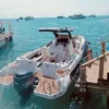 best company organize Speed boat trip
