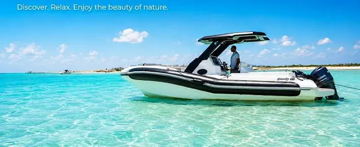 dolphin house speed boat